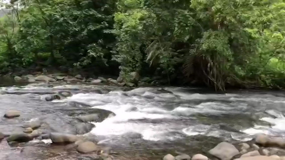 Rio Frio